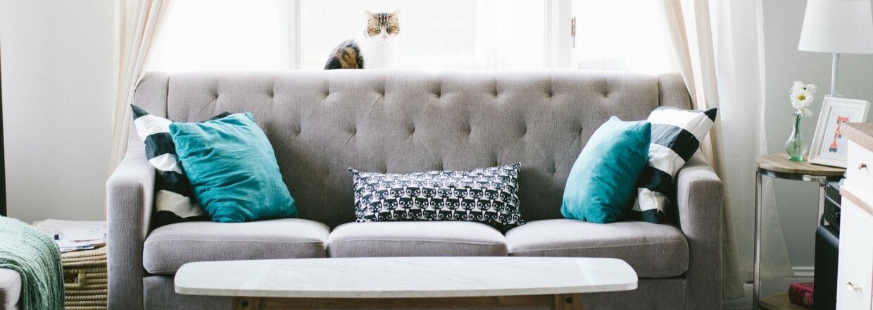 Rensning af sofa