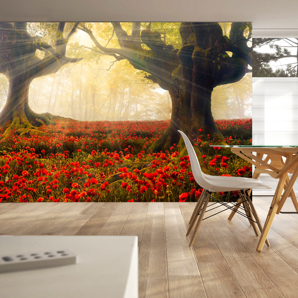 Artgeist Natur Fototapet Med Motiv Af Morgensol I Skov Og Valmuer I Skovbund (Flere Størrelser) 200X140