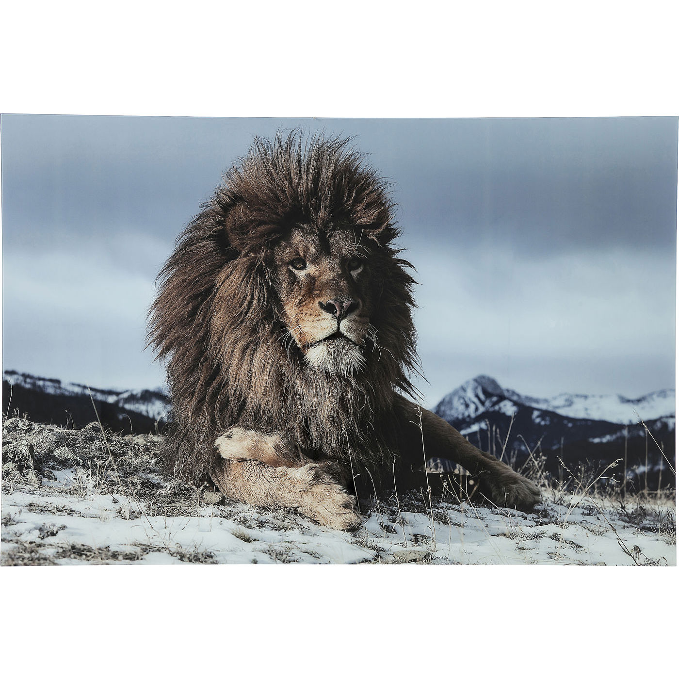 Kare Design Kare Design Proud Lion Plakat - Blå/Brun Glas Og Komposittræ, (120X180Cm) Boligtilbehør