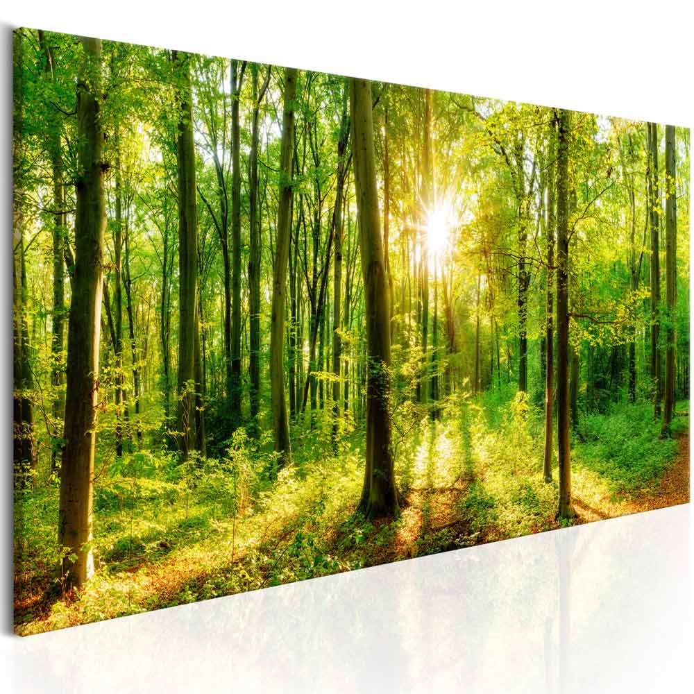 Artgeist Rainbow Continents Billede - Multifarvet Print, 2 Størrelser 60X40