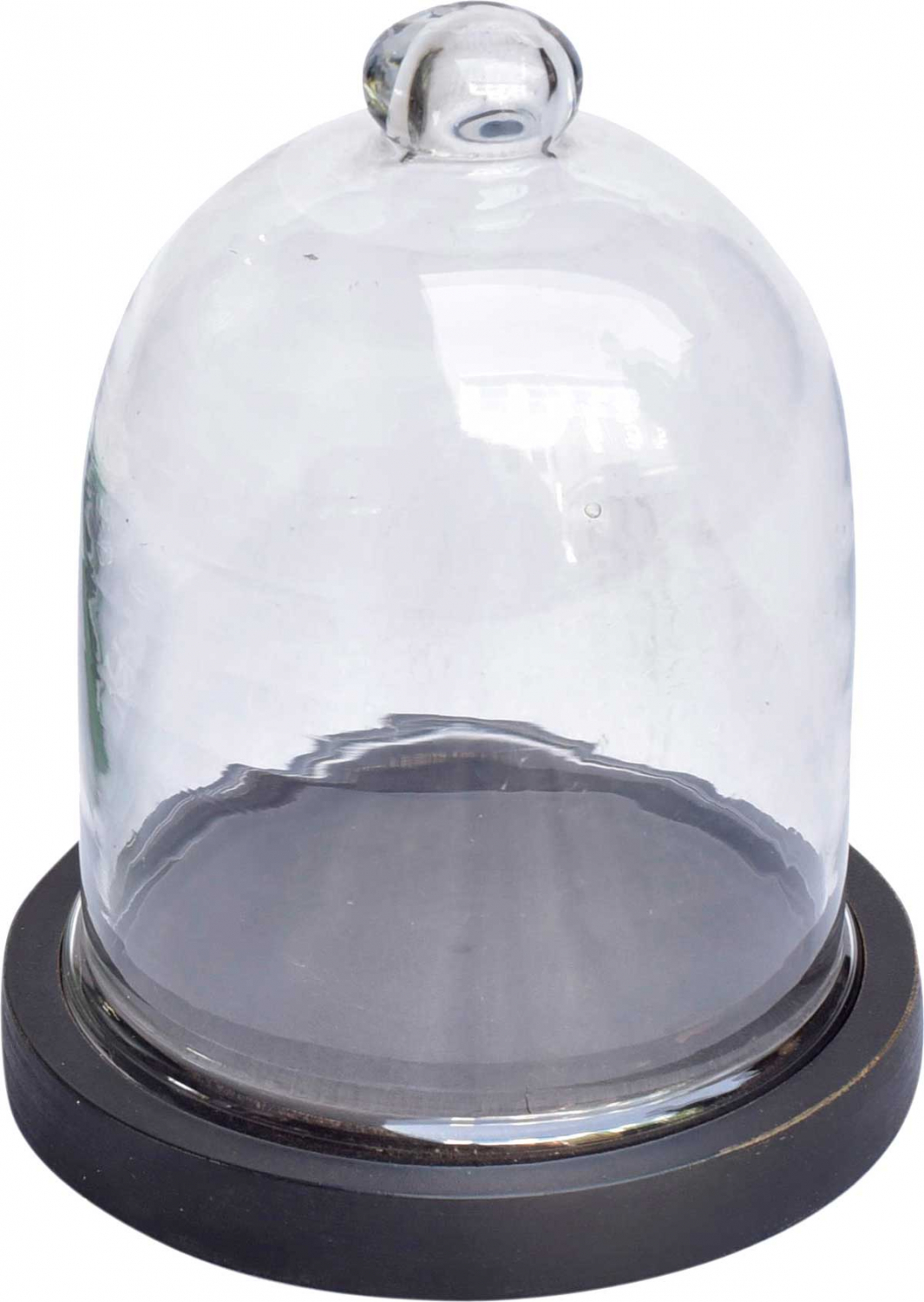Trademark Living Trademark Living Glasklokke - Glas Og Sort Træbund (Ø 16) Boligtilbehør
